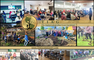 Direct Consultation with Jamon Mysliwiec | Permaculture & Land Design