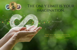 ✦ Tier 3 · Project Management & Consultancy ( PMC ) Program