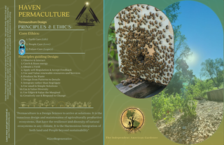 ✦ Tier 3 · Project Management & Consultancy ( PMC ) Program