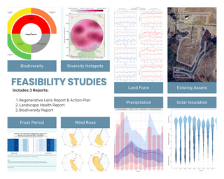 ✦ Tier 3 · Project Management & Consultancy ( PMC ) Program