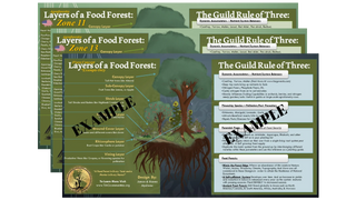 The Food Forest Starter Kit | INSTANT Download + Free Phone Consultation!