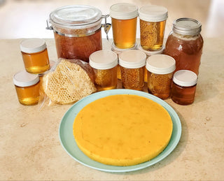 Heavy Duty Layens Hive Trap (Companion to the Generational Hive – Lulu’s Garden Exclusive)