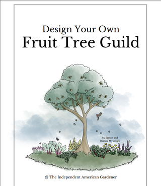 The Food Forest Starter Kit | INSTANT Download + Free Phone Consultation!