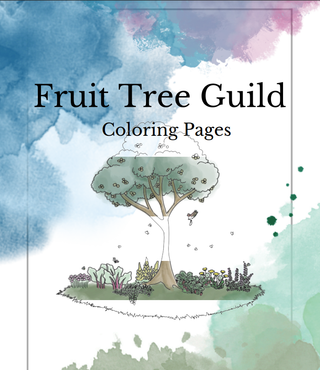 The Food Forest Starter Kit | INSTANT Download + Free Phone Consultation!