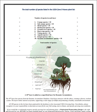The Food Forest Starter Kit | INSTANT Download + Free Phone Consultation!