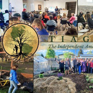 Common Ground Tour – Haven Mentor Booking Fee