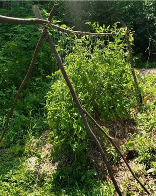 Permaculture Design: Full-Service Regenerative Design Programs (Tier 1 or 2)