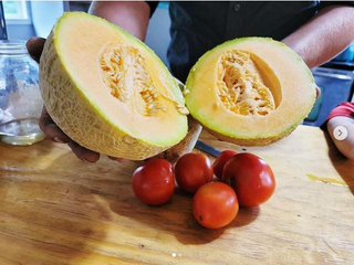 Permaculture Design: Full-Service Regenerative Design Programs (Tier 1 or 2)