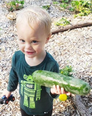 Permaculture Design: Full-Service Regenerative Design Programs (Tier 1 or 2)