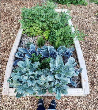 Permaculture Design: Full-Service Regenerative Design Programs (Tier 1 or 2)