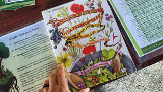 Books & Educational Resources