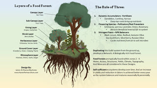 Permaculture Design