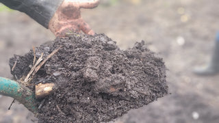 Soil Food Web & Soil Health