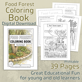 Food Forest Coloring Pages | Digital Download | Printable