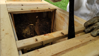 The Generational Hive - Insulated Layens Horizontal Hive (Natural Beekeeping)