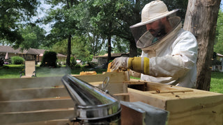 The Generational Hive - Insulated Layens Horizontal Hive (Natural Beekeeping)