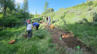 (Permaculture) TIAG Event Enrollment