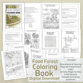 Food Forest Coloring Pages | Digital Download | Printable