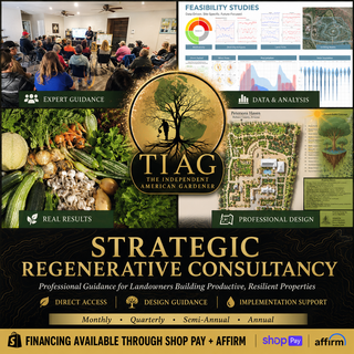Strategic Regenerative Consultancy with Jamon Mysliwiec