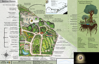 Property Master Plan - Professional Permaculture Design