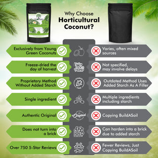 Coconut Water Powder - Raw Freeze Dried Organic