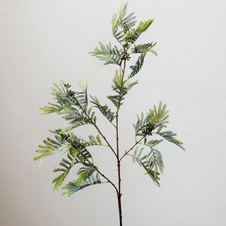 Artificial Faux Acacia Plant Stem 47" Tall