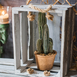 Artificial Faux Cactus in Brown Pot