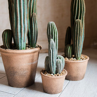 Artificial Faux Cactus in Brown Pot