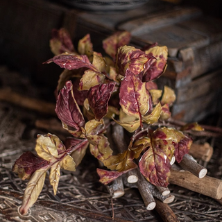 Artificial Dyed Dry Leaf Stem 33" Tall Faux