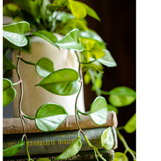 Artificial Devil's Ivy Plant in White Pot