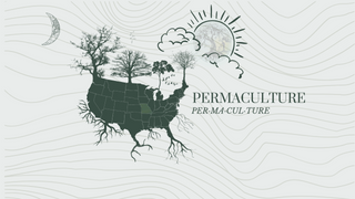 Haven Permaculture Project Management & Consultancy Program (PMC)