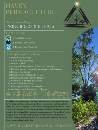 Professional Permaculture Property Design