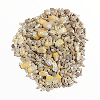 Clackamas Coots Official Gnarly Barley - Artisan Sprouted Seed Blend