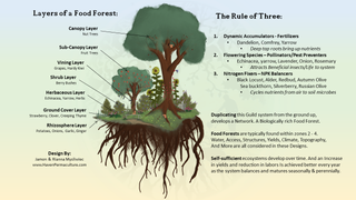 Professional Permaculture Property Design