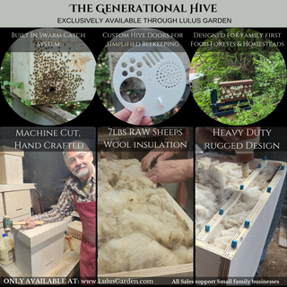 The Generational Hive - Insulated Layens Horizontal Hive (Natural Beekeeping)