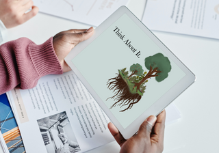 Layers of a Food Forest (Agroforestry / Guild Guide)