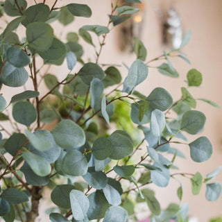 Artificial Faux Eucalyptus Tree In Pot