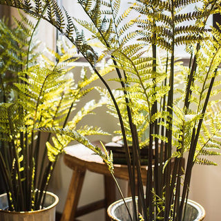 Artificial Faux Cyathea Tree In Pot