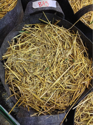 Certified Organic Straw Mulch