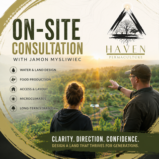 Strategic Regenerative Consultancy with Jamon Mysliwiec