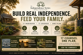 TIAG Membership + The Independence Series, Vault, Globe, TIAG.App Access (Everything Included)