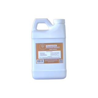 Fermented Plant Extracts: Fermented Horsetail Extract - Seasonal