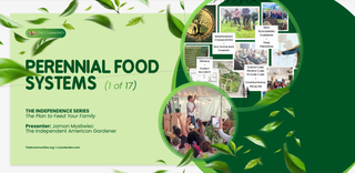 Perennial Food Systems Micro-Course (ONLINE-SELF-PACED)
