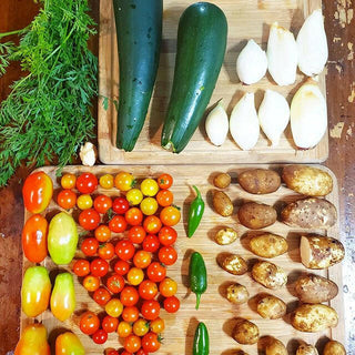 HOST: A Permaculture Community Event with Jamon