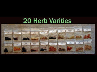 20 Variety Heirloom Culinary Herb Seed Pack