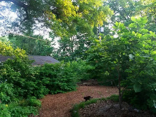 TIAG - The Independant American Gardener (The Journey Program - Access Subscription)