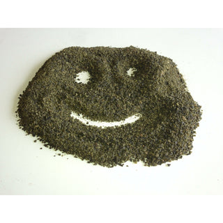 Kelp Meal - Organic