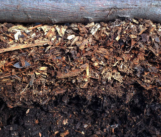 Tier 1: Urban Permaculture Property Design