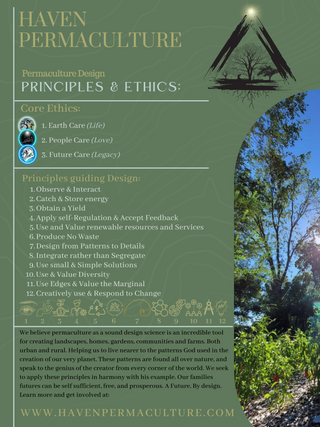 Permaculture Consultation
