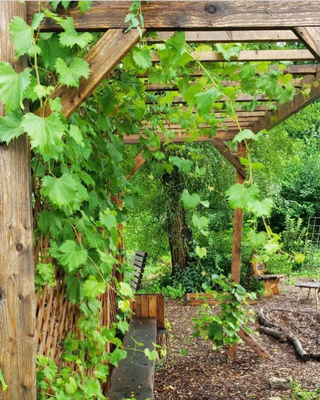 HOST: A Permaculture Community Event with Jamon